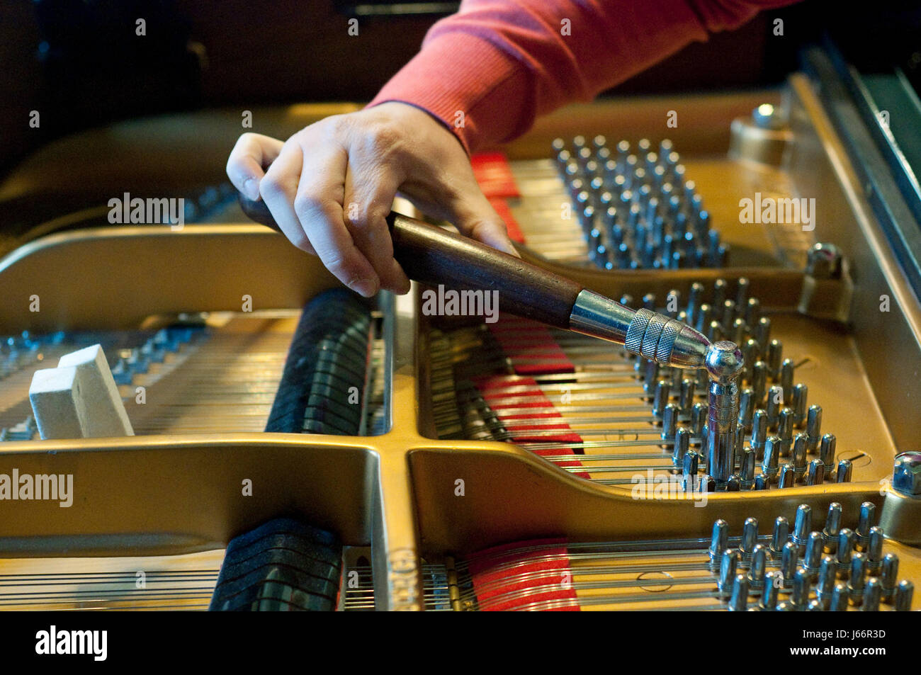 La mano di un uomo Piano Tuner Tuning un pianoforte a coda Foto Stock