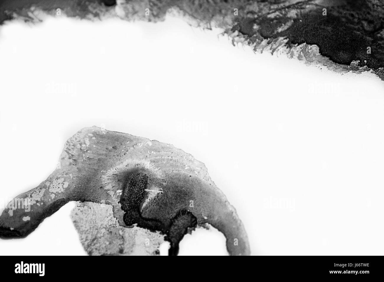 A chiudere la sezione di un volto umano che è stato stampato sul vetro con l'aiuto del nero di pitture ad acquerello. Foto Stock