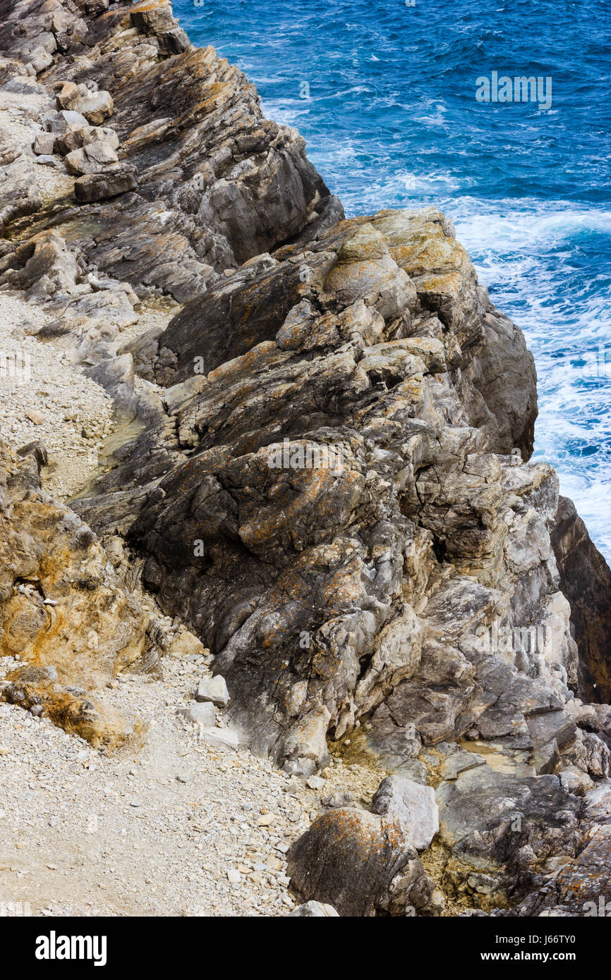 La foresta fossile, i resti di una antica foresta sommersa dall'era giurassica nel Dorset, England, Regno Unito Foto Stock