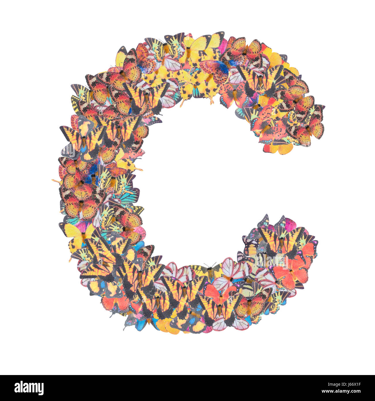 Lettera C alfabeto con butterfly abc tipo di concetto come isolato del logo su sfondo bianco Foto Stock