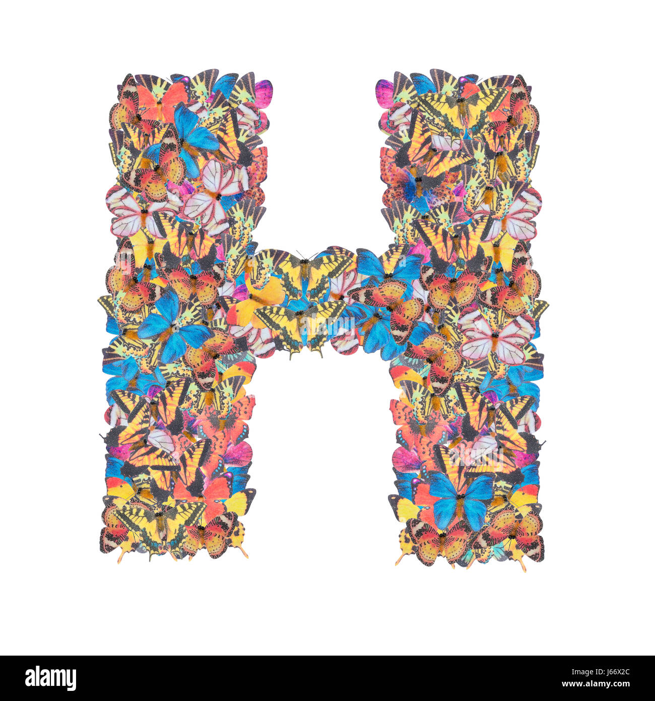 La lettera H alfabeto con butterfly abc tipo di concetto come isolato del logo su sfondo bianco Foto Stock
