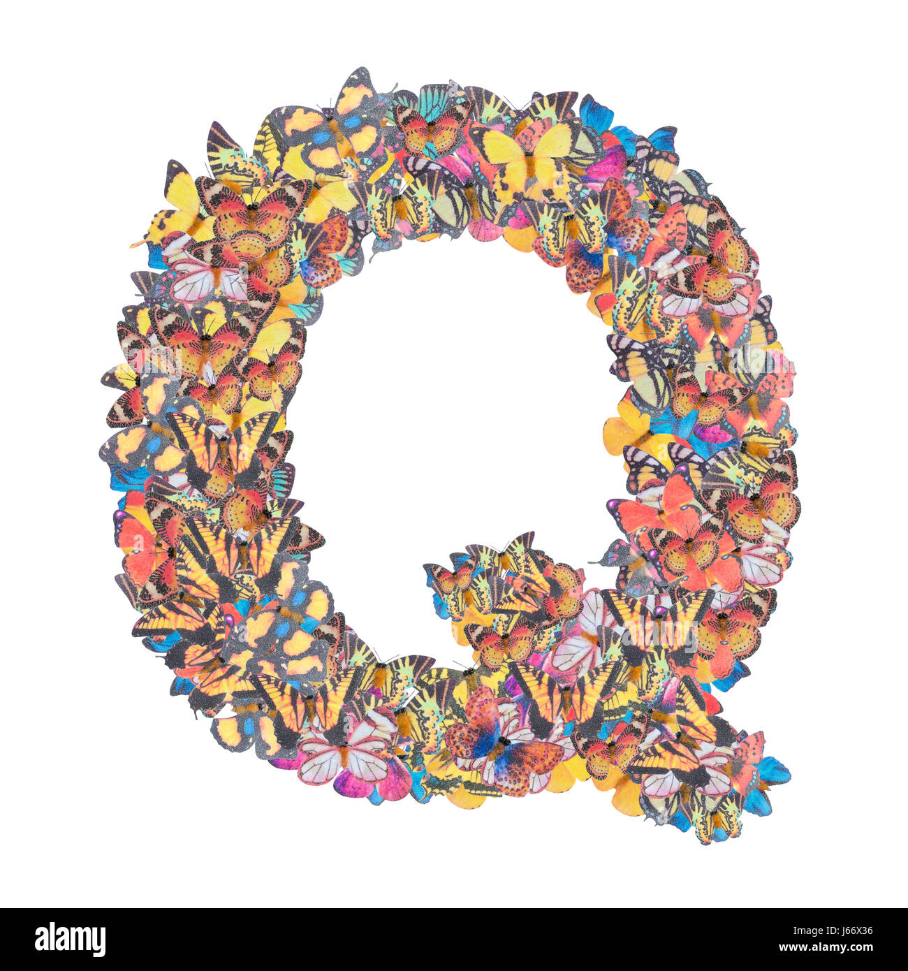 Lettera Q alfabeto con butterfly abc tipo di concetto come isolato del logo su sfondo bianco Foto Stock