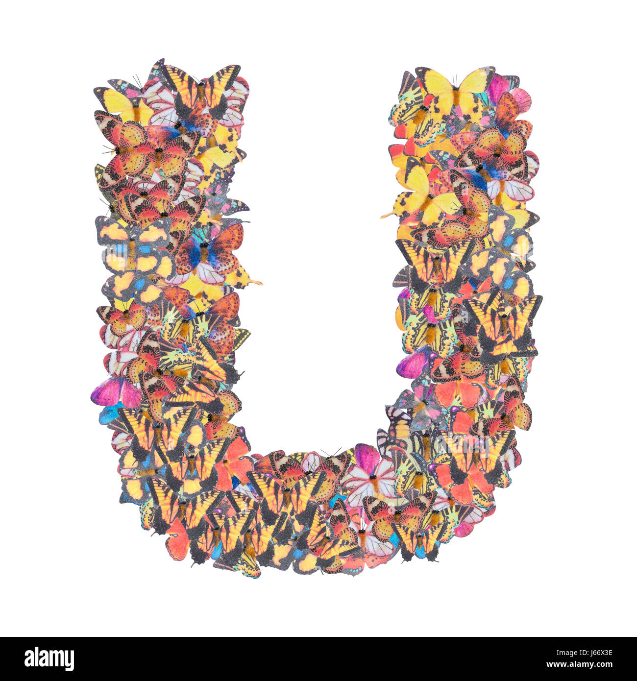 Lettera U alfabeto con butterfly abc tipo di concetto come isolato del logo su sfondo bianco Foto Stock