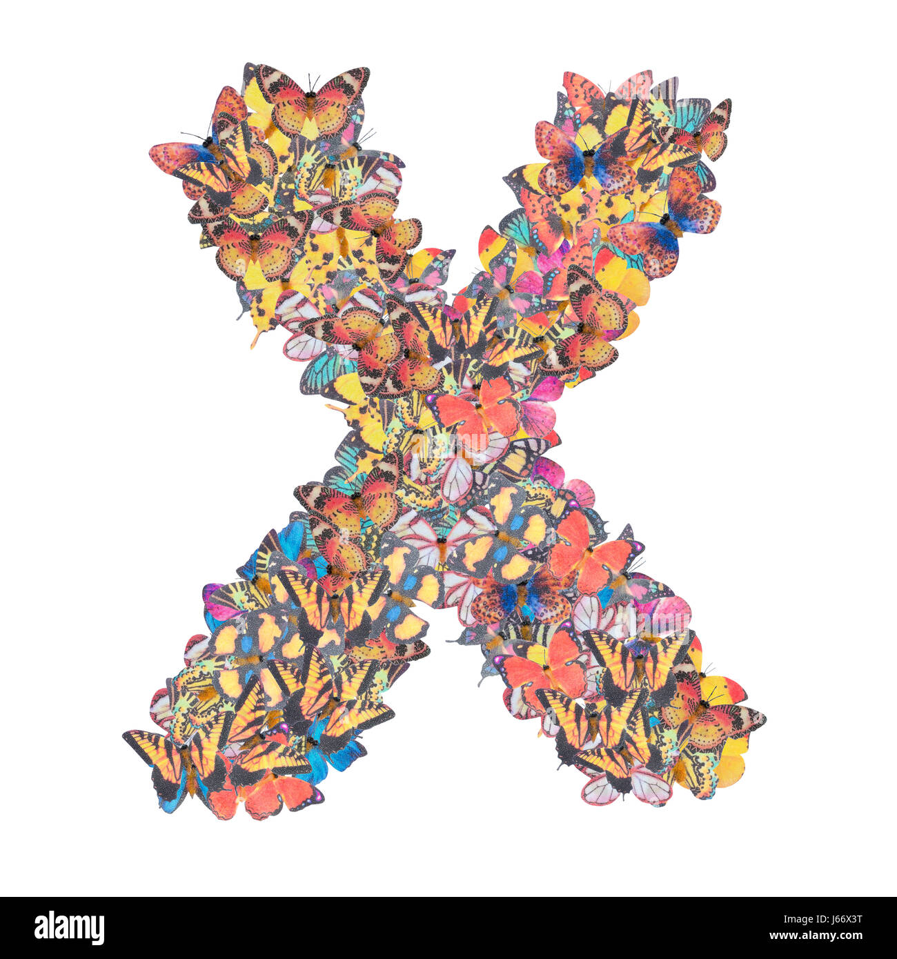 Lettera X alfabeto con butterfly abc tipo di concetto come isolato del logo su sfondo bianco Foto Stock