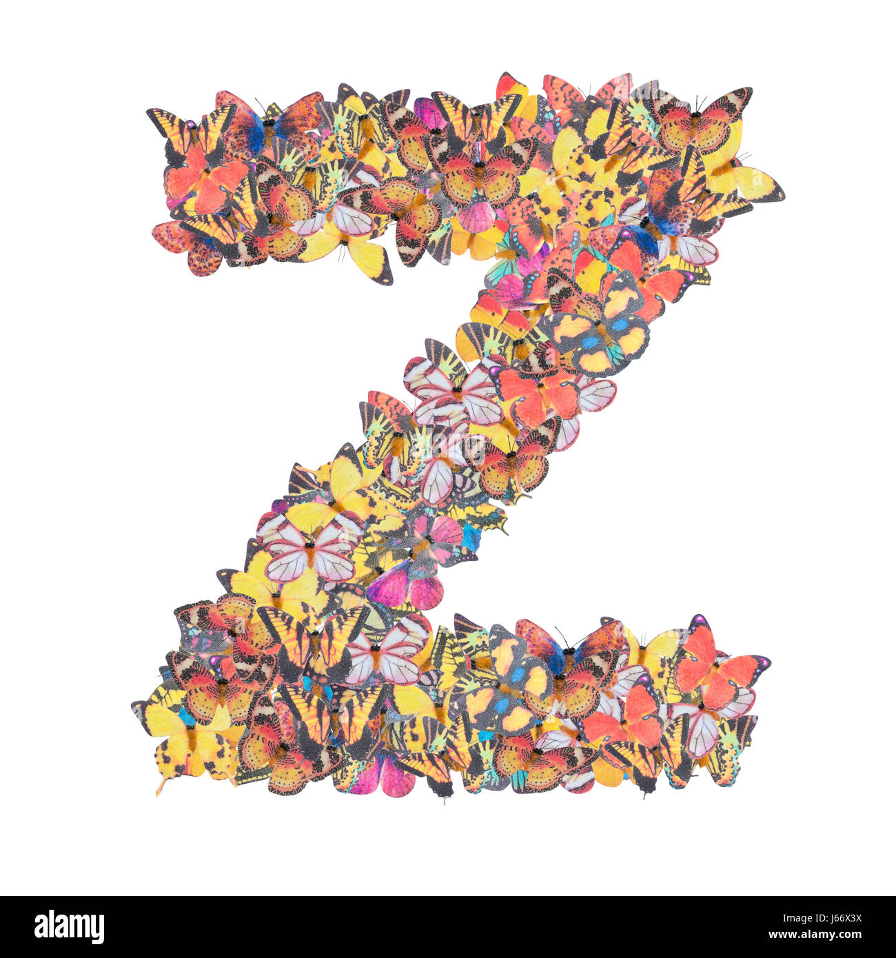Lettera Z alfabeto con butterfly abc tipo di concetto come isolato del logo su sfondo bianco Foto Stock