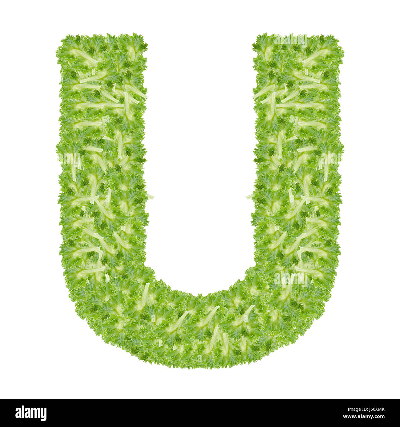 Lettera U alfabeto con foglia di hydroponics abc tipo di concetto come isolato del logo su sfondo bianco Foto Stock