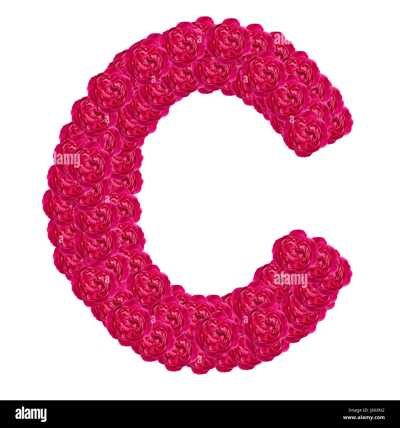 Lettera C alfabeto con damasco rosa abc tipo di concetto come isolato del logo su sfondo bianco Foto Stock