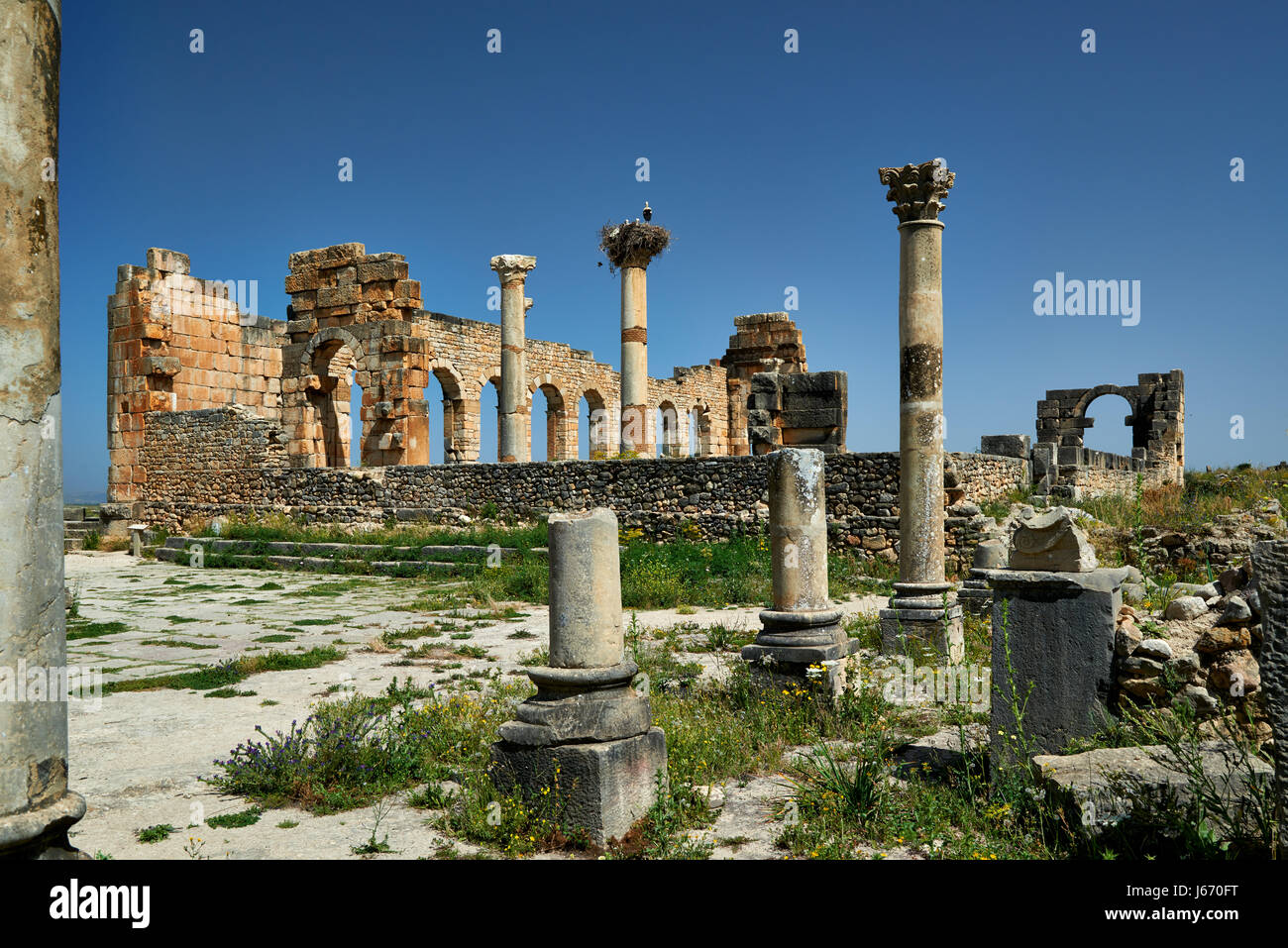 Basilica di Volubilis, escavazione romana in Marocco, Africa Foto Stock