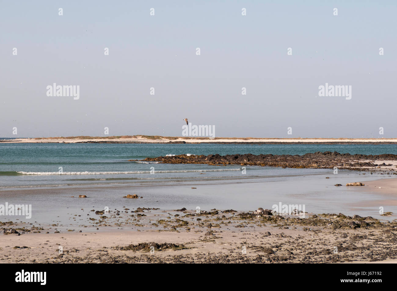 Isola di Masirah, Oman. Foto Stock