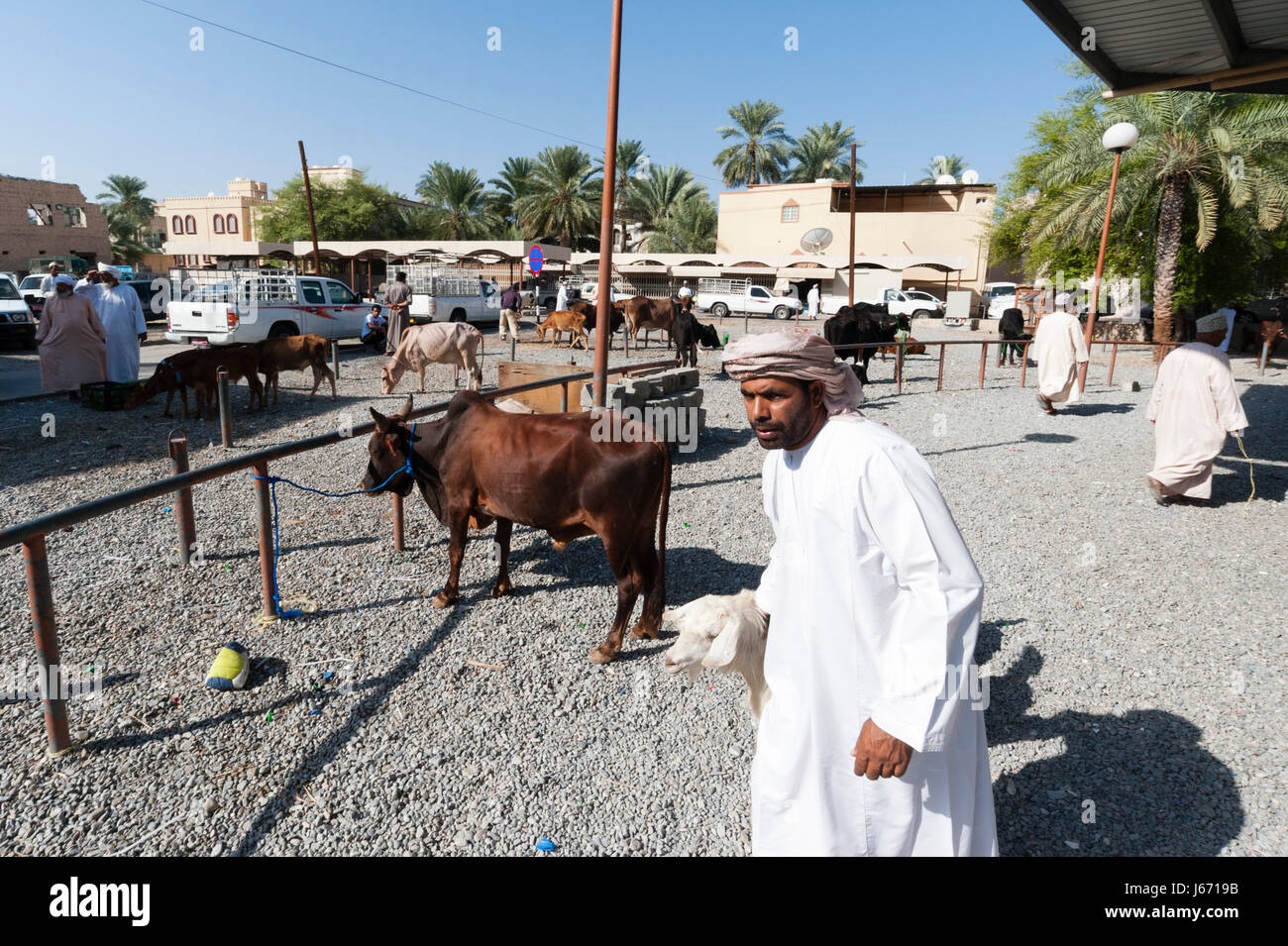 Nizwa mercato del bestiame, Oman. Foto Stock