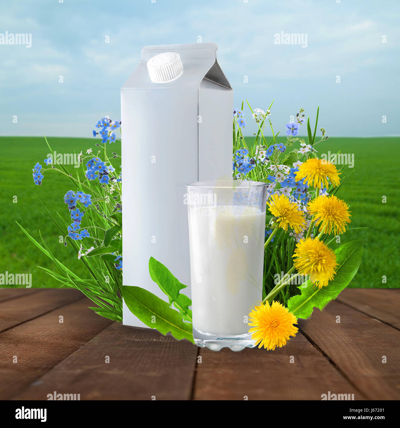 Latte e soleggiato Campo a molla Foto Stock