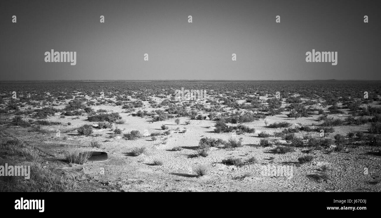 Deserto di cespugli e di un vecchio pneumatico in un vasto deserto vicino a Delta, Utah, Stati Uniti d'America. Foto Stock Deserto di cespugli e di un vecchio pneumatico in un vasto deserto vicino a Delta, Utah, Stati Uniti d'America. Foto Stock