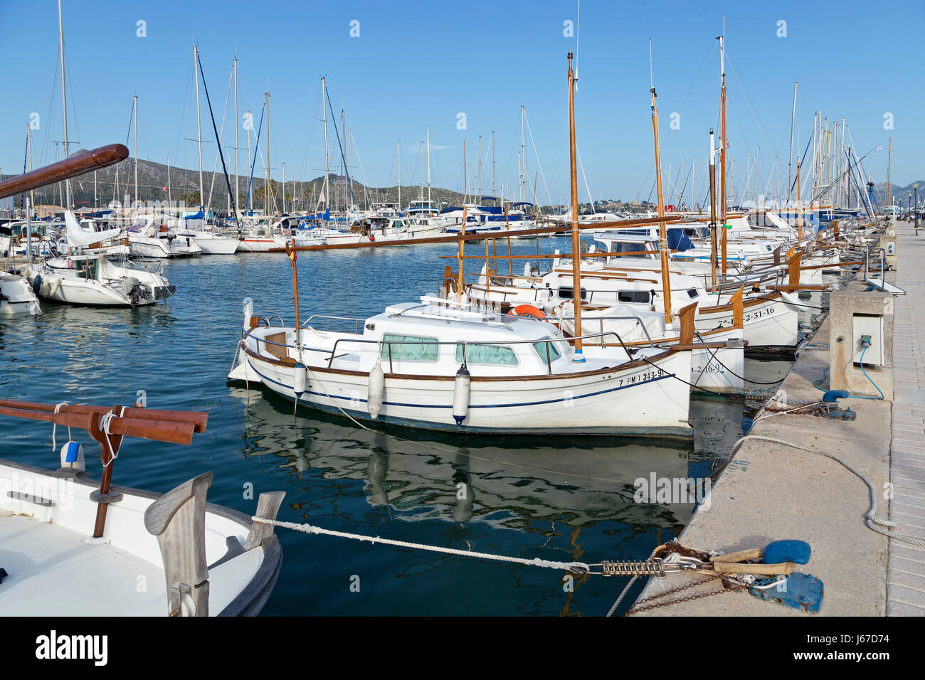 Marina in Port de Pollenca, Maiorca, SPAGNA Foto Stock