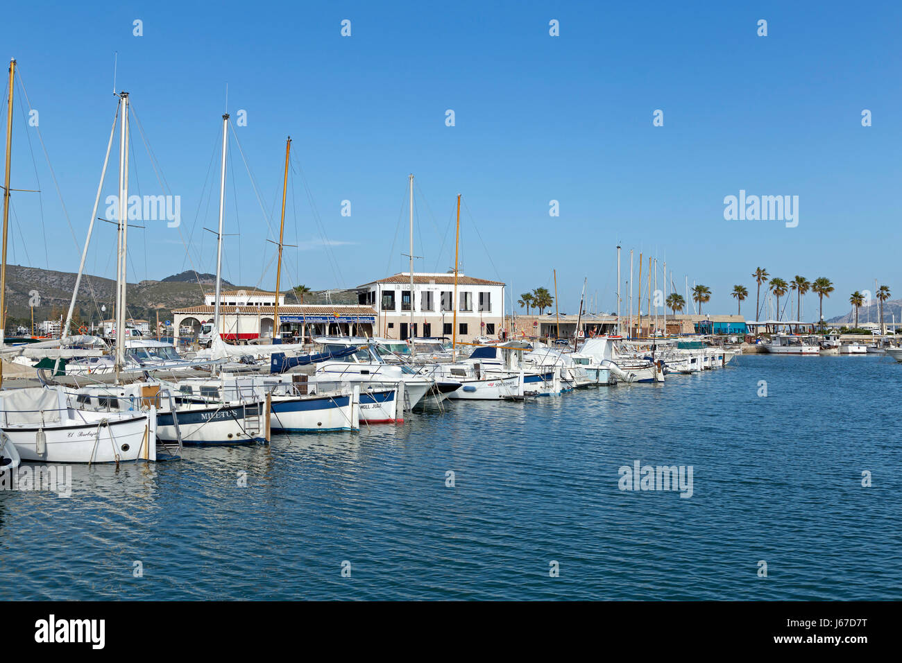 Marina in Port de Pollenca, Maiorca, SPAGNA Foto Stock