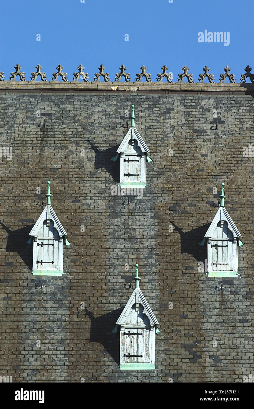 Town Hall Belgio lions torre sul tetto arte cultura opera d'arte visita guidata alla città Foto Stock