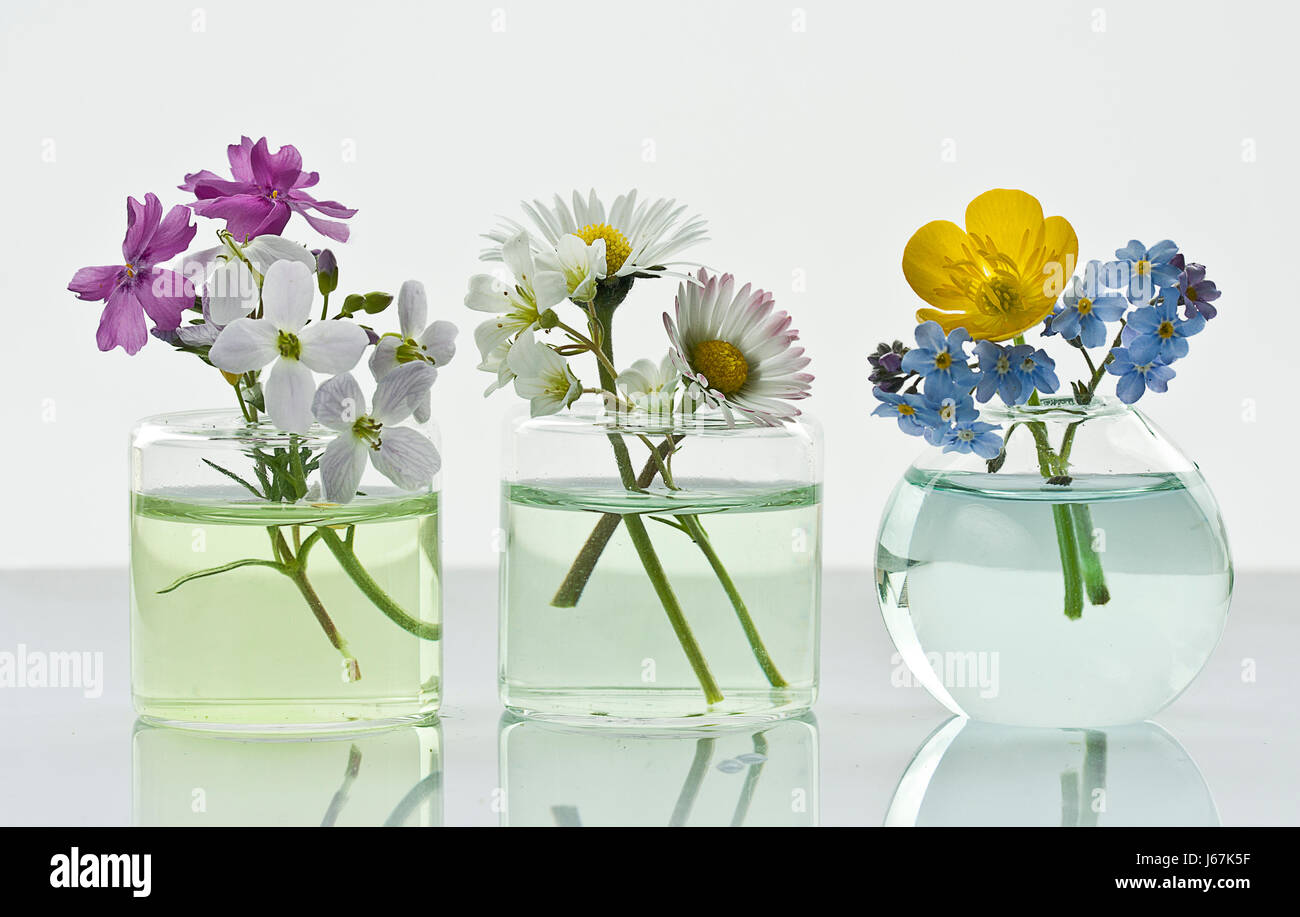 Drei niedliche Blumenvasen Foto Stock