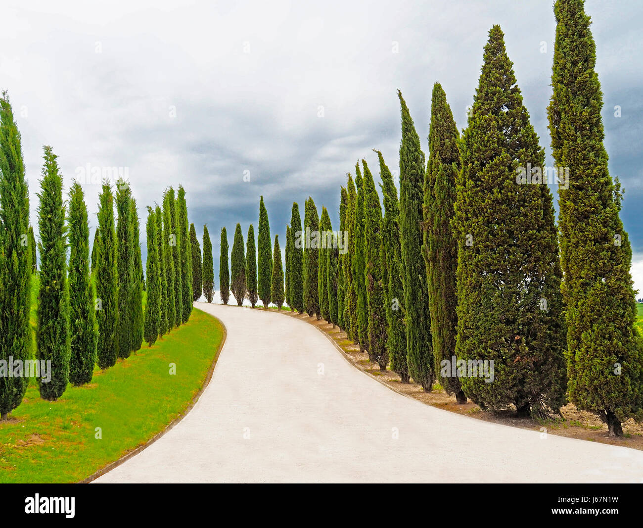 Cypress-rigato dri ve alla cantina in Val d Orcia/Regione Toscana. Foto Stock