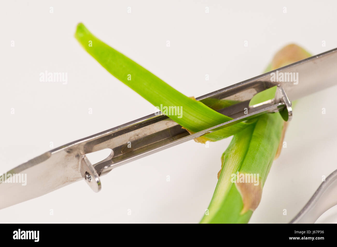 Campo di asparagi in acciaio lama di metallo asparagi levetta piante a stelo verdure verdi Foto Stock