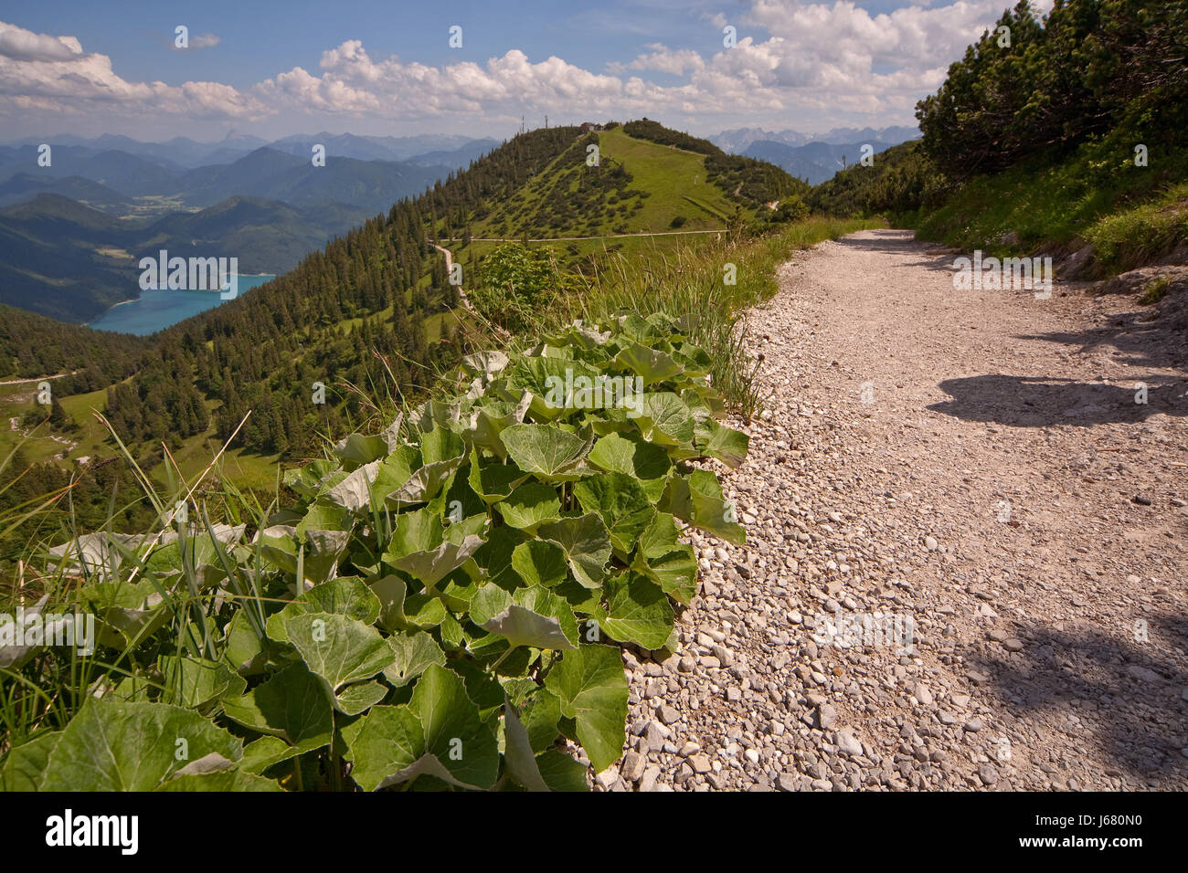 Sentiero ripido del karwendel immagini e fotografie stock ad alta ...