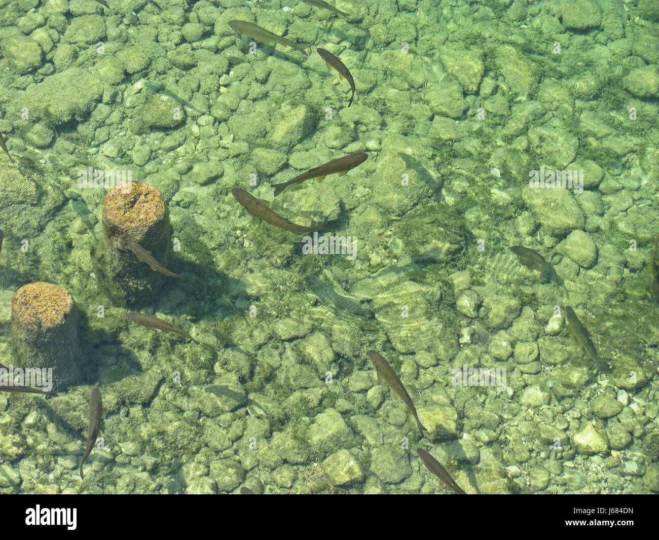 Parco nazionale dei Laghi di Plitvice Lago Foto Stock