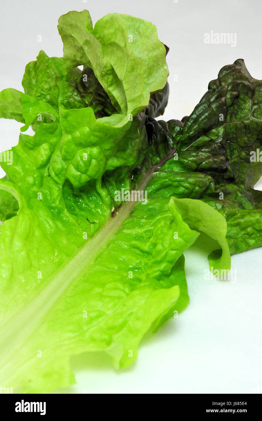 Cibo aliment salute vegetale fresco di lattuga verde sano cibo aliment mature Foto Stock