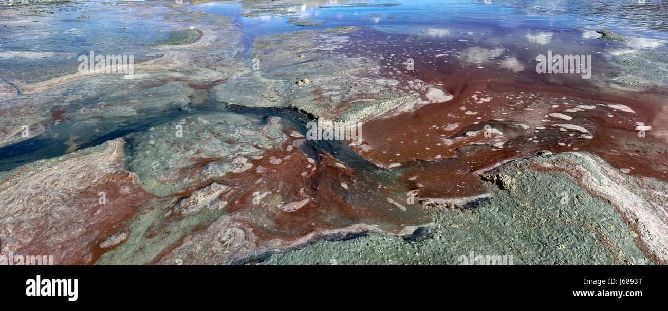 Luminose colorate astrazione naturale: una texture di sabbia sulla riva di un lago salato rosso, blu, verde, giallo, bianco, cambia colore in ogni altro. Foto Stock