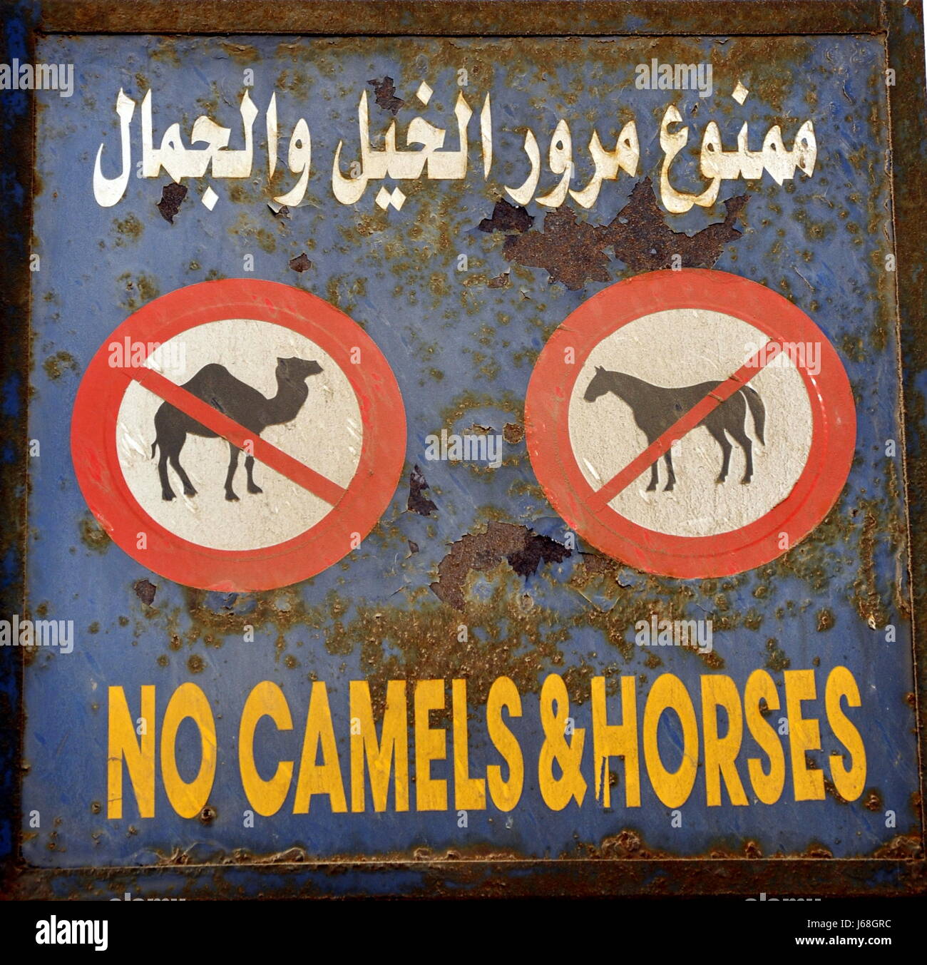 Cavallo cavalli cammelli segnale di segno segno di divieto cavallo cammello metallo arrugginito egitto Foto Stock
