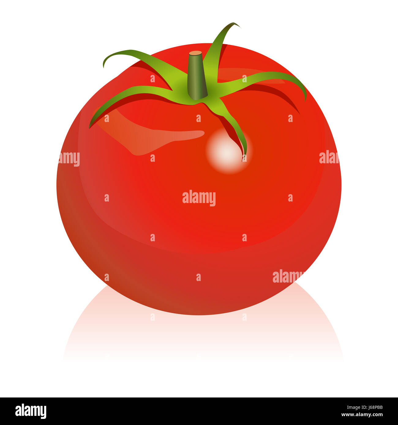 cibo aliment frutta vegetale pomodoro ingrediente bianco rosso illustrazione Foto Stock