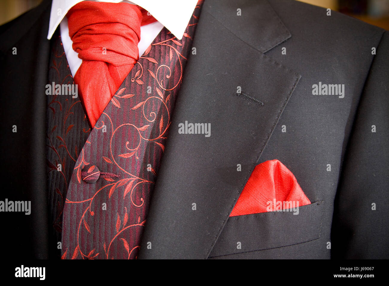 La moda maschile maschio tuxedo cravatta ascot partner sposo sposo maschile maschio Foto Stock