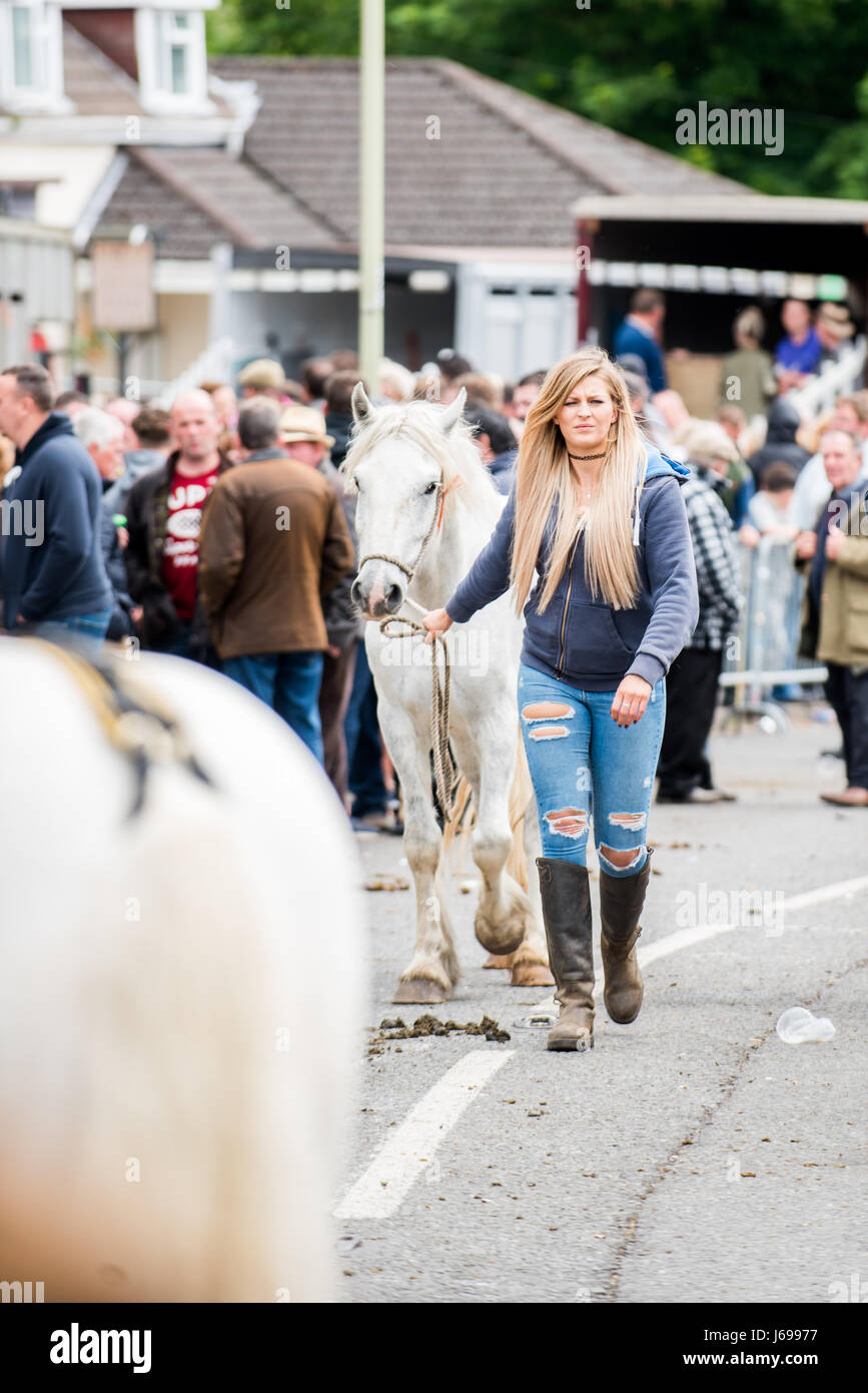 Wickham, Hampshire, Regno Unito. Il 20 maggio 2017. Wickham Fiera Cavalli. Gruppi di viaggiatori gipsy​ incontrarsi con i loro cavalli. L annuale Wickham Fiera Cavalli vicino a Fareham, risale a più di 800 anni ed è frequentato dalla comunità di viaggiatori provenienti da tutto il paese. Credito: Sarà Bailey/Alamy Live News Foto Stock