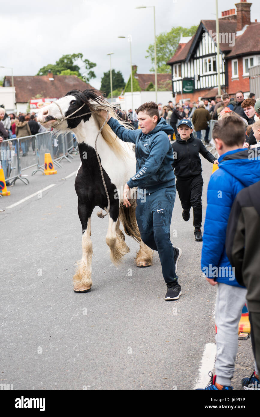 Wickham, Hampshire, Regno Unito. Il 20 maggio 2017. Wickham Fiera Cavalli. Gruppi di viaggiatori gipsy​ incontrarsi con i loro cavalli. L annuale Wickham Fiera Cavalli vicino a Fareham, risale a più di 800 anni ed è frequentato dalla comunità di viaggiatori provenienti da tutto il paese. Credito: Sarà Bailey/Alamy Live News Foto Stock