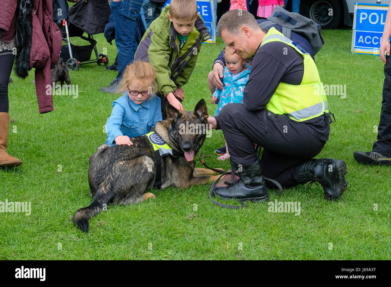 Gloucester, Regno Unito. Il 20 maggio 2017. Gloucestershire polizia Gloucester Park per una pubblica dimostrazione del ruolo dei cani di polizia nella lotta contro la criminalità. Credit:Chris Poole/Alamy Live News Foto Stock