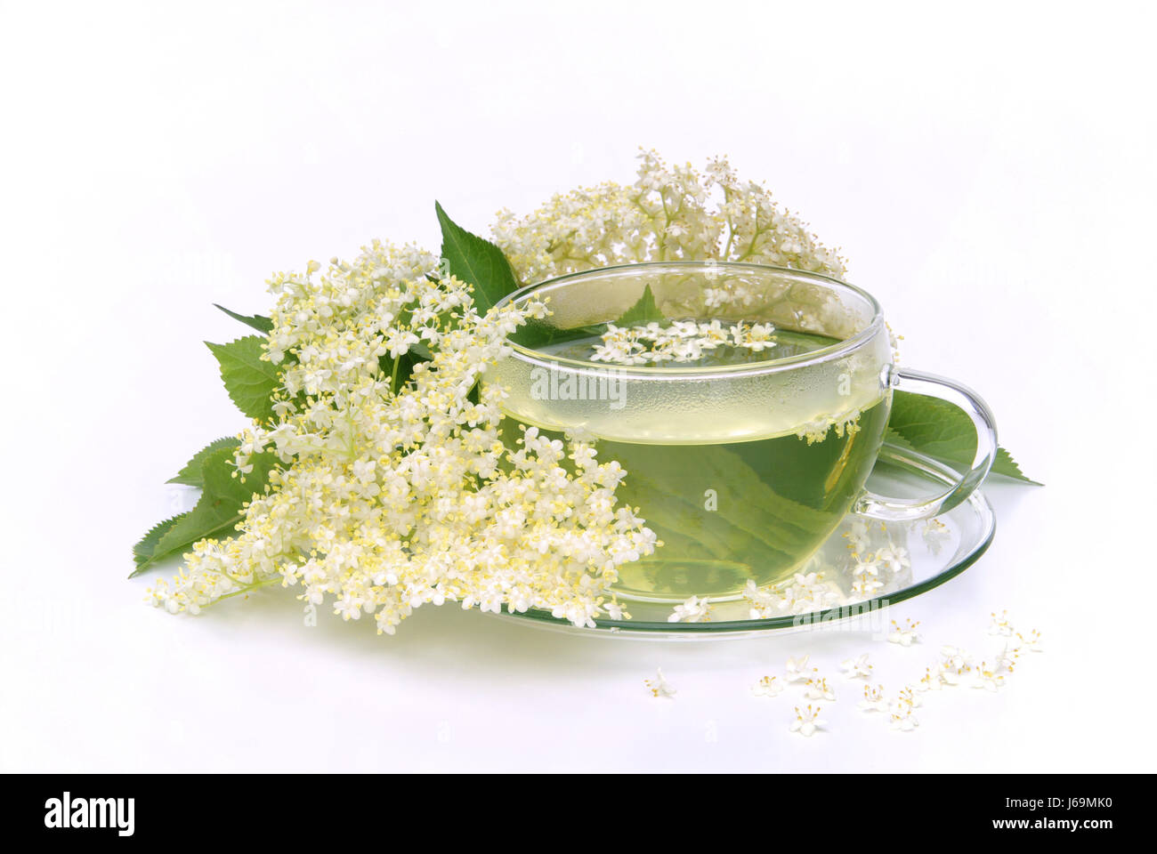 Il tè lâ Elderflower - lâ Elderflower tea 05 Foto Stock