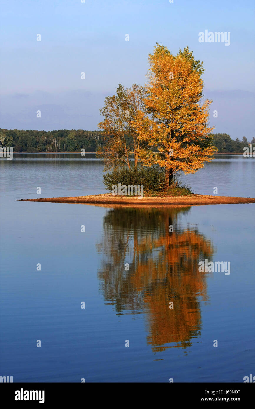Da sola nel lago Foto Stock