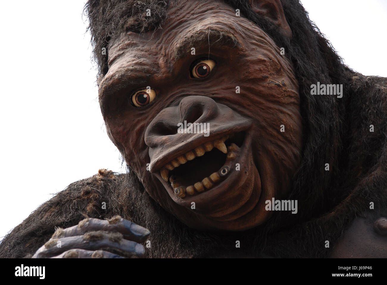 La scimmia antropoide grande aspetto grande enorme extreme potente imponente Foto Stock