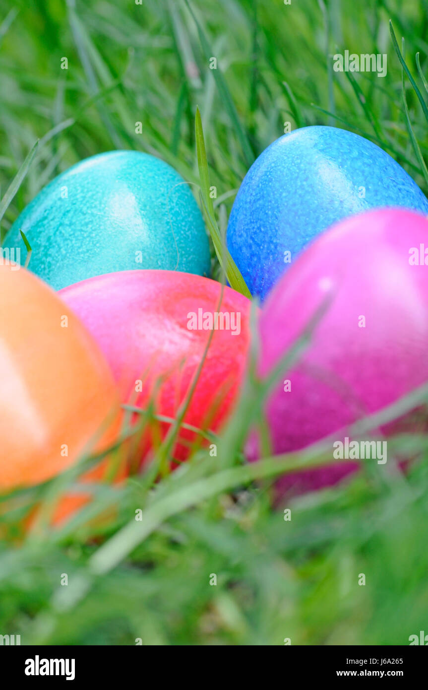 Colorato colorato splendida molteplici riccamente colorata pasqua uovo di pasqua Foto Stock
