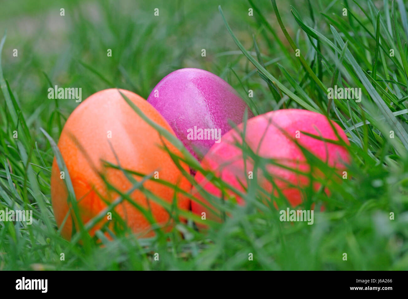 Colorato colorato splendida molteplici riccamente colorata pasqua uovo di pasqua Foto Stock