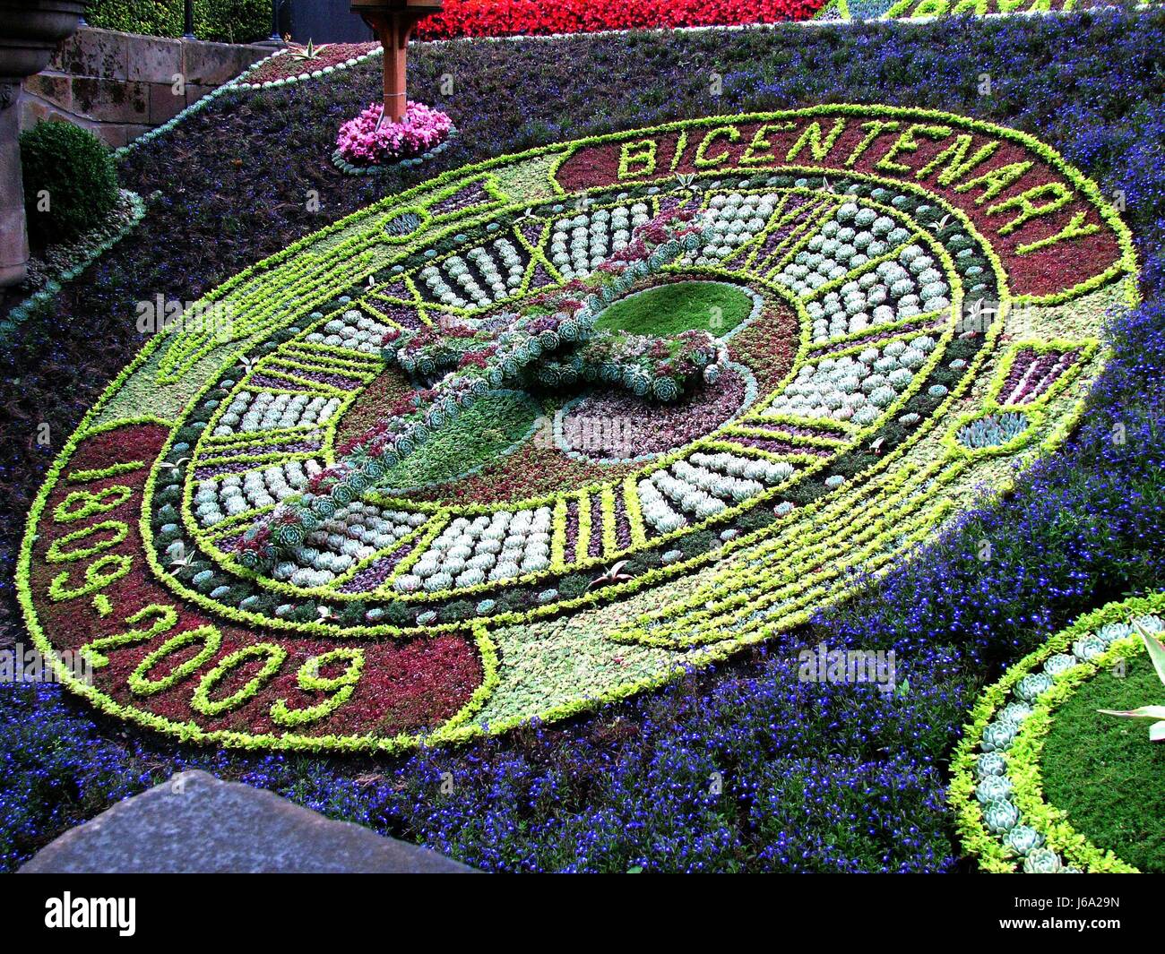 Parco dei Fiori Piante Fiori Scozia edinburgh park fiore fiori impianto Scozia Scotland Foto Stock