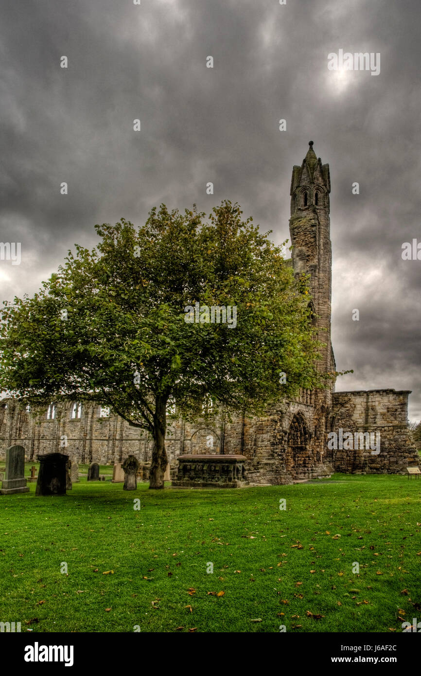 Travel case storiche chiesa città città cultura monumento famoso albero alberi Foto Stock