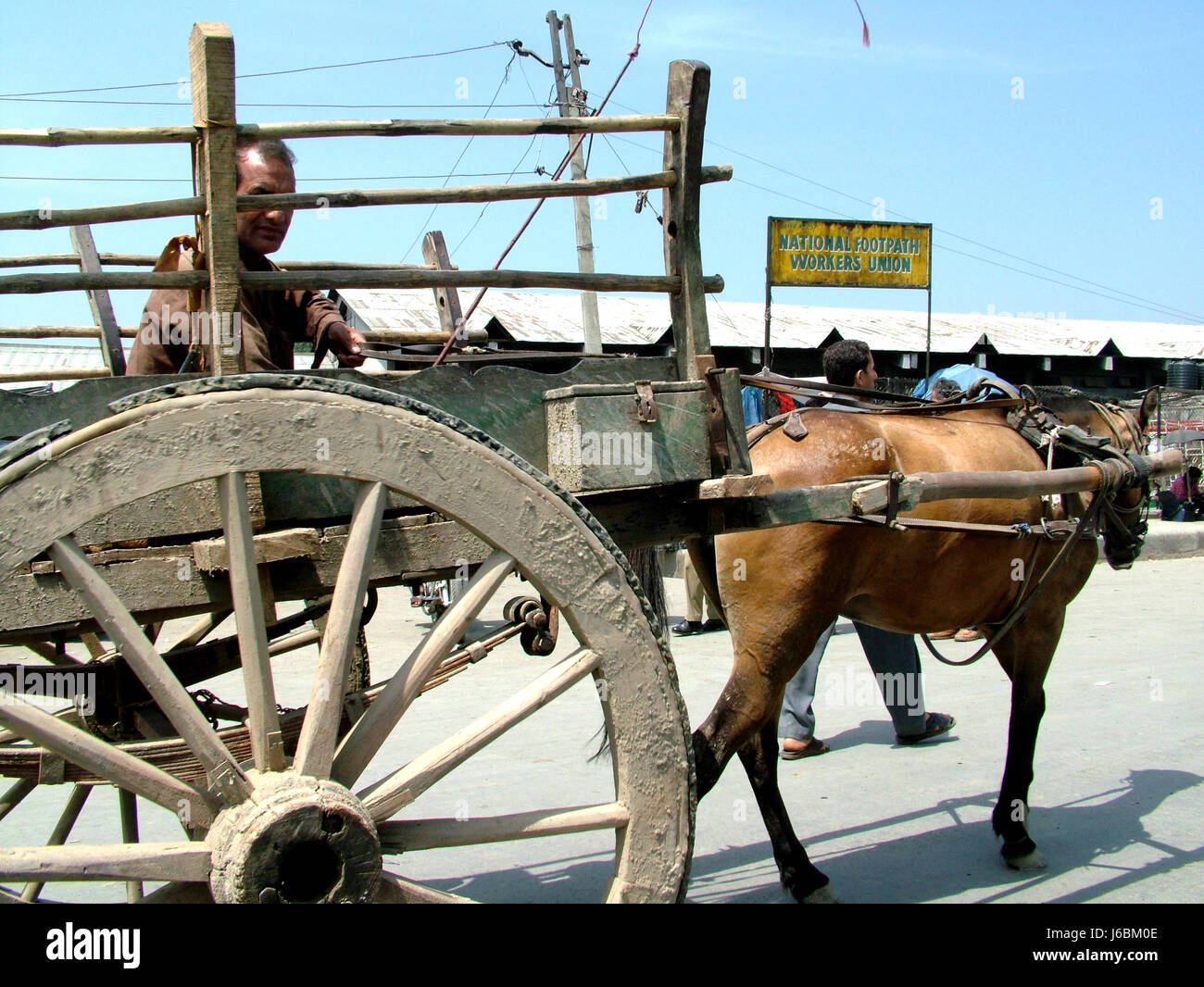 Tanga, trasporto cavalli, Baramulla, Kashmir (Copyright © Saji Maramon) Foto Stock