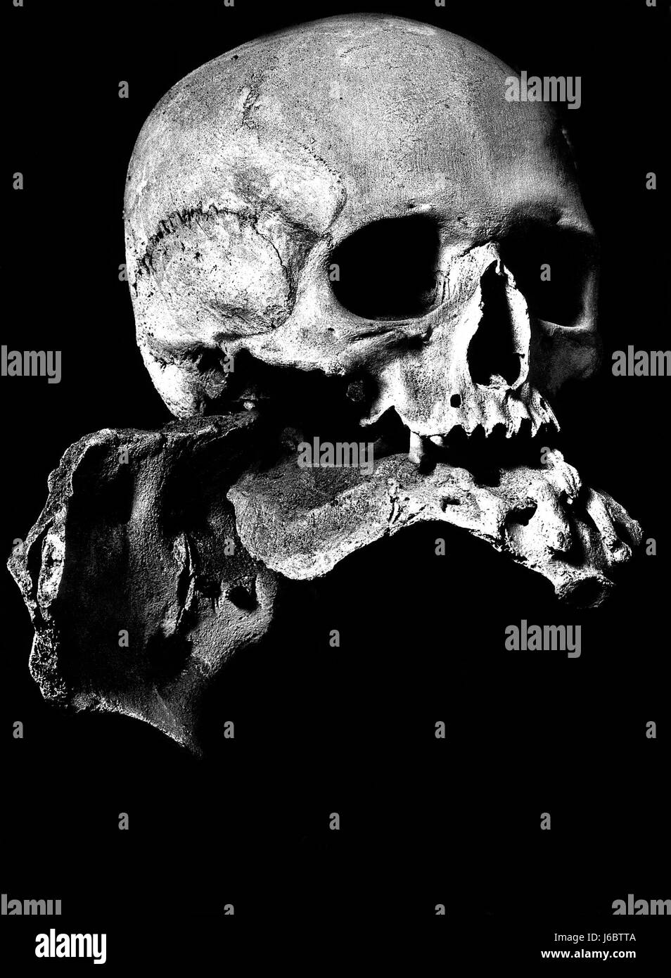 Muoiono di morte ossa del cranio morto pino gotico europeo vuoto caucasica horror di paura Foto Stock