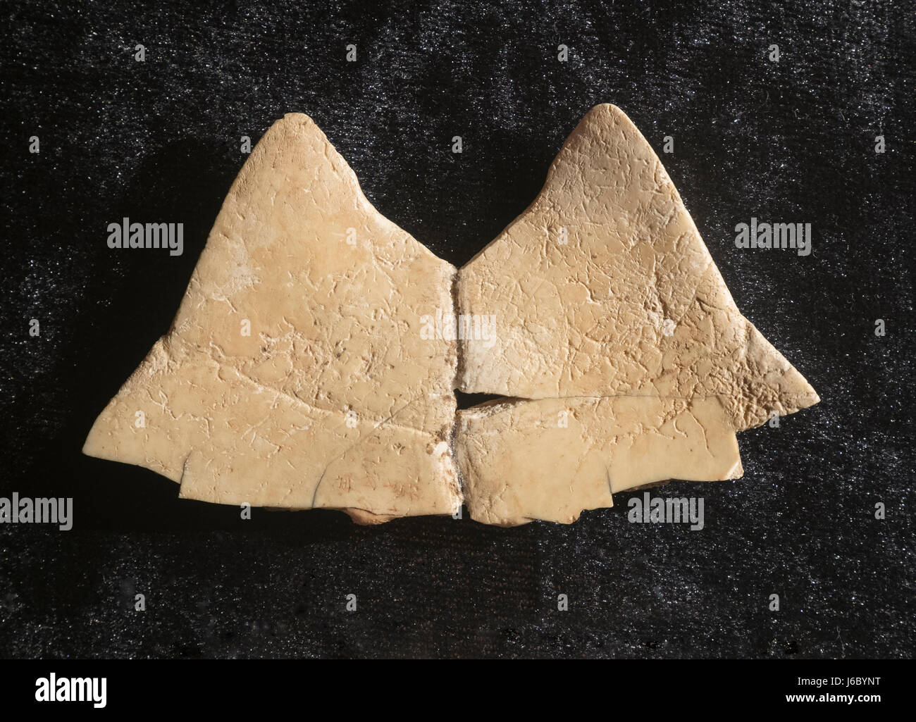 Oracle osso intagliato con caratteri. Fine della dinastia Shang (XIII secolo B.C.E - metà. Xi secolo A.C. E) scoperto in Yin reliquia in Anyang, Henan. Foto Stock