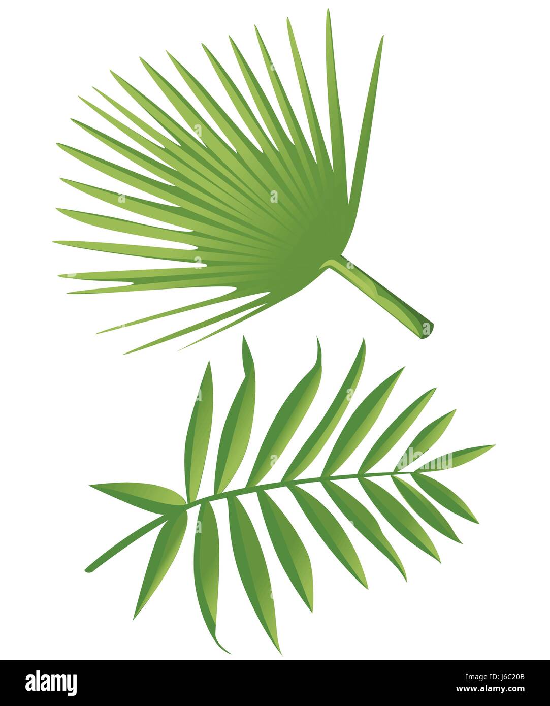 Set di tropicale di foglie di palma - per elementi di design, scrapbooking nel vettore estate sfondo per il sito web o la brochure. Illustrazione Vettoriale