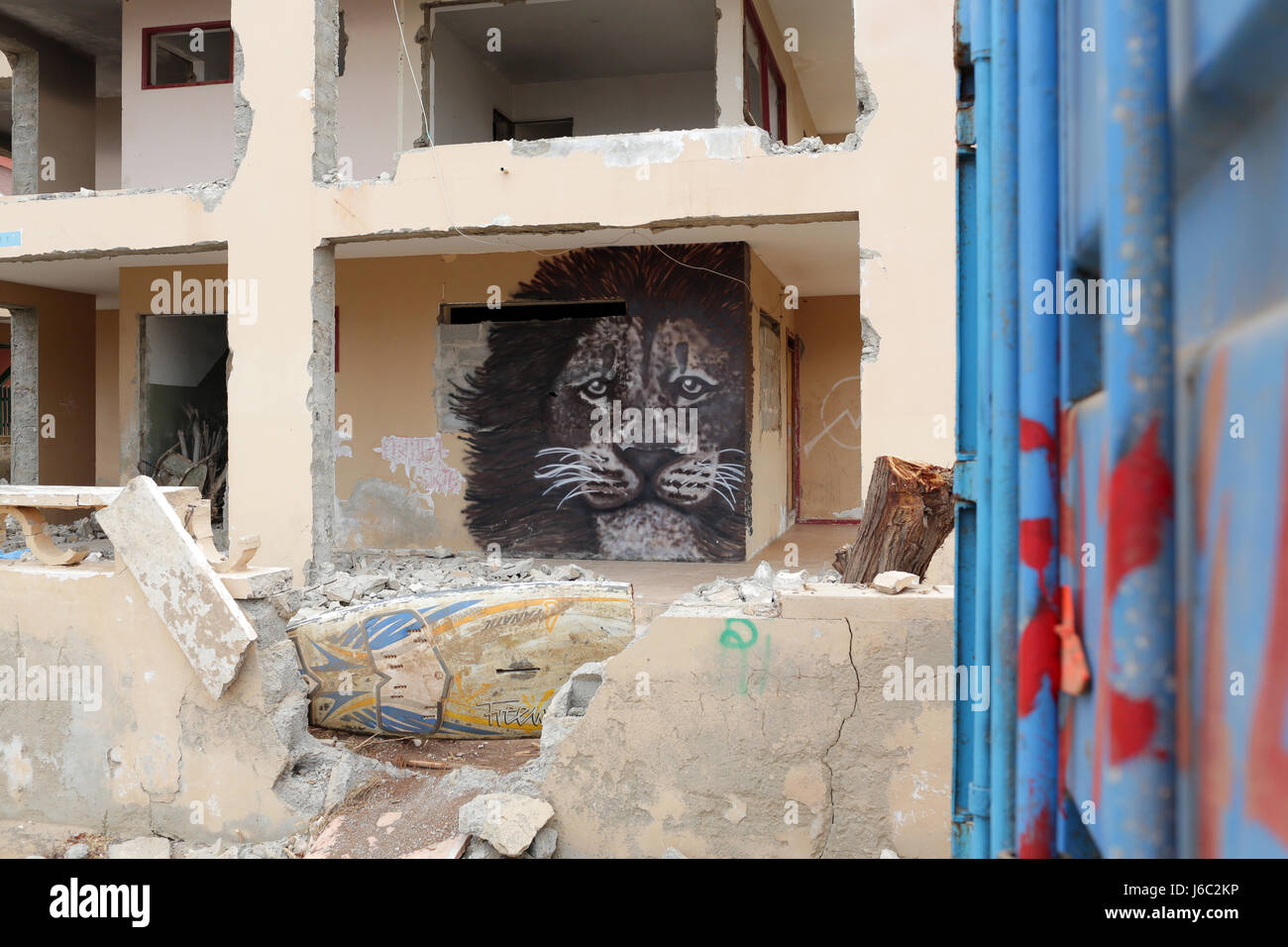 Immagine di Lion su un edificio di abbandono da un locale artista di strada Foto Stock