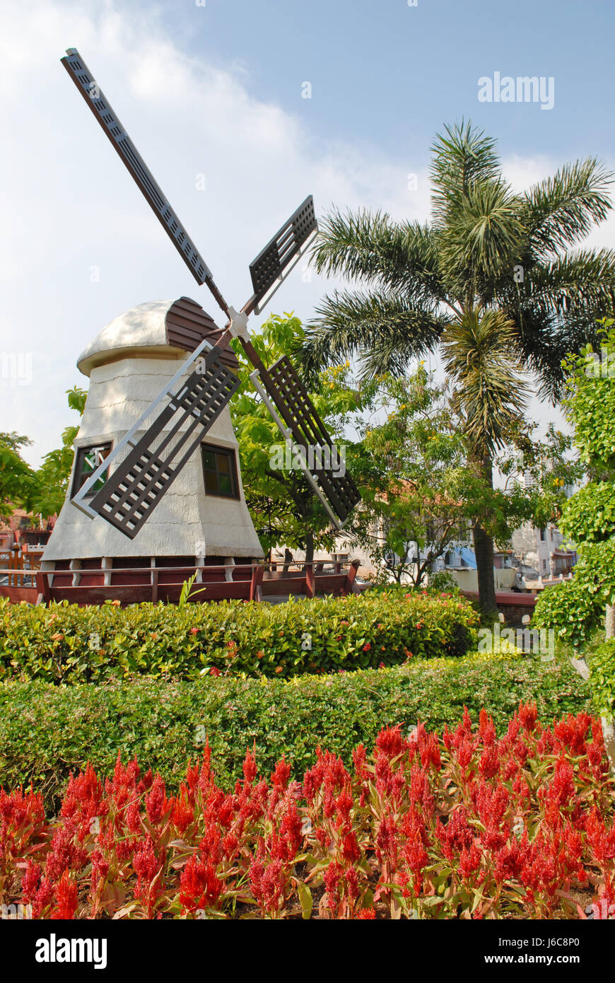 Asia malaysia tulipani il mulino a vento di cultura olandese asia fiore fiori pianta della Malaysia Foto Stock