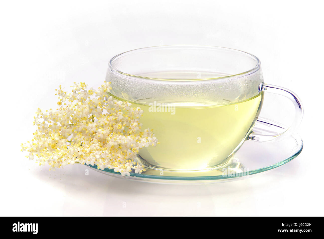 Il tè lâ Elderflower - lâ Elderflower tea 01 Foto Stock