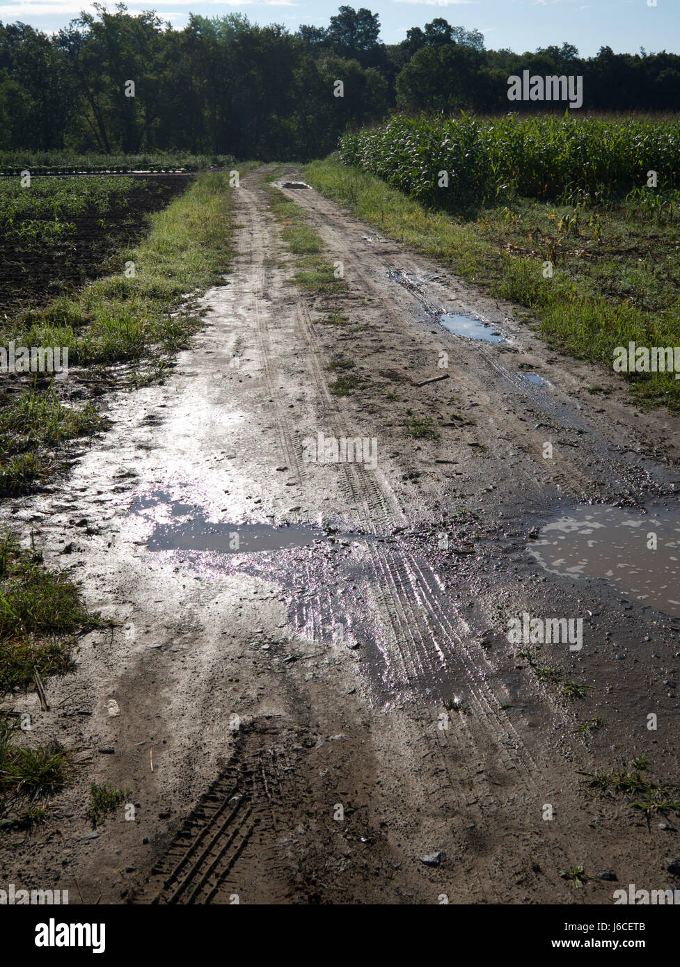 Strada fangosa in un campo nei pressi di New Paltz, New York, Stati Uniti d'America. Foto Stock