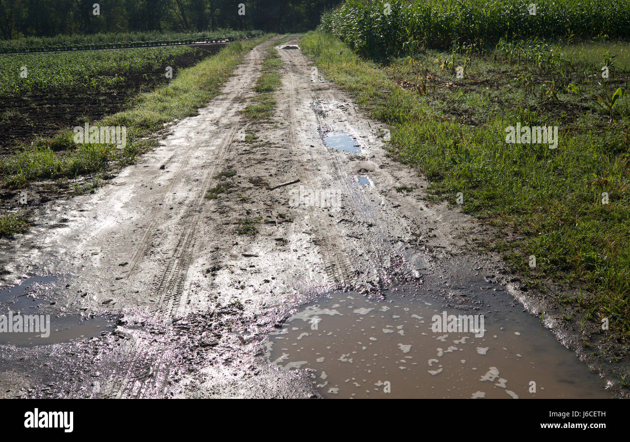 Strada fangosa in un campo nei pressi di New Paltz, New York, Stati Uniti d'America. Foto Stock