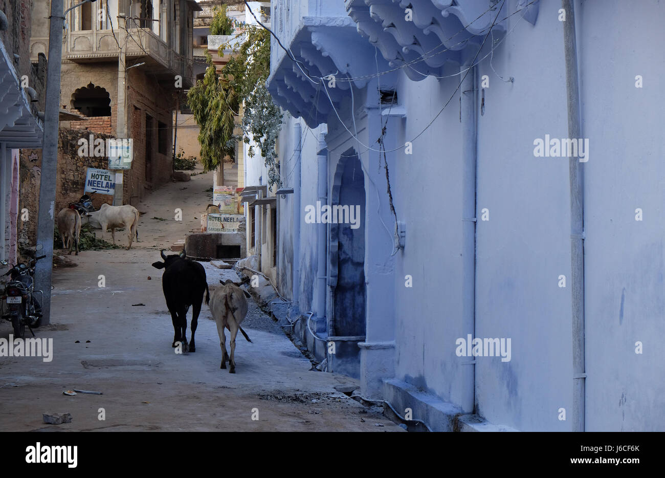 Edificio blu in Pushkar, Rajasthan, India, il 18 febbraio 2016. Foto Stock