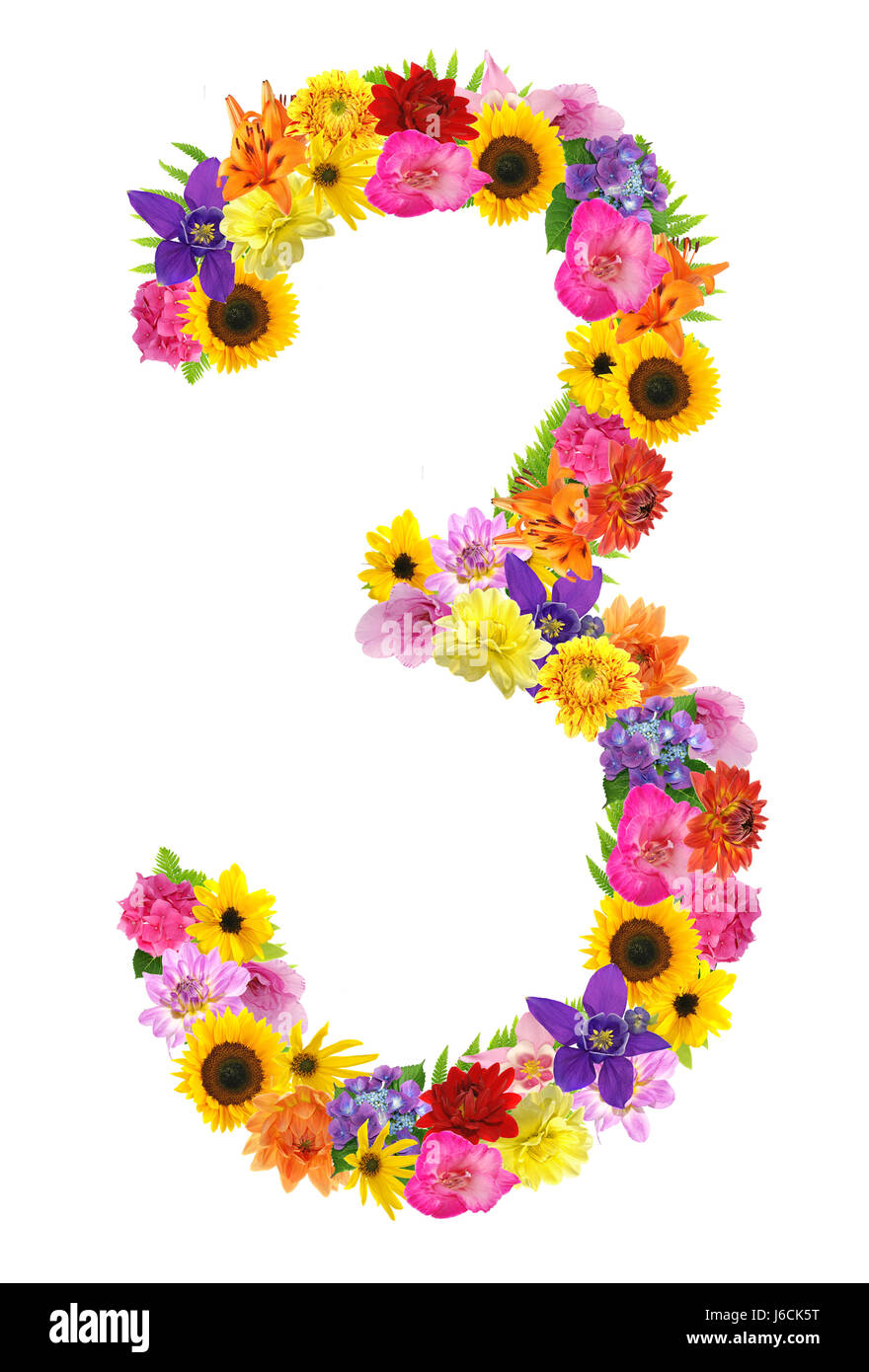 Fiore fiori piante tre terzi del conteggio del numero di colori splendidi colorati Foto Stock